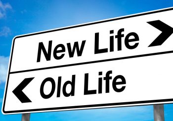 new life
