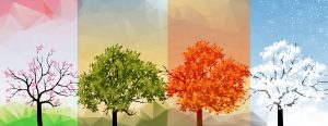 four seasons