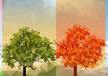 four seasons