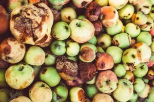 bad apples