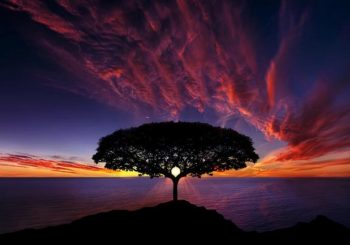 natures landscapes