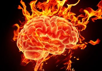 brain on fire