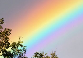 science rainbows