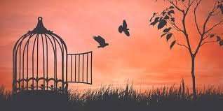 freedom