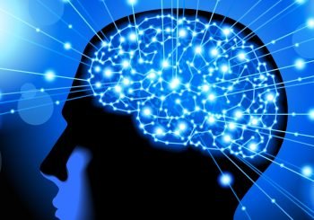 brain power