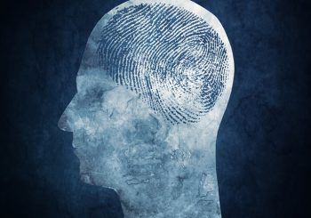 brain prints