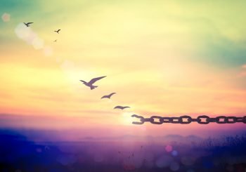 letting go