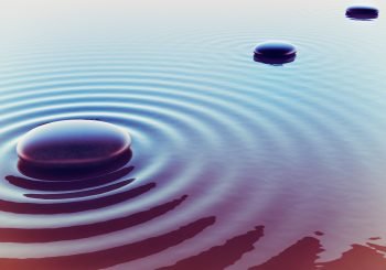 cultivating peace