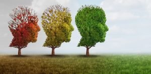 stages of dementia