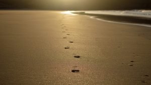 footprints in the sand
