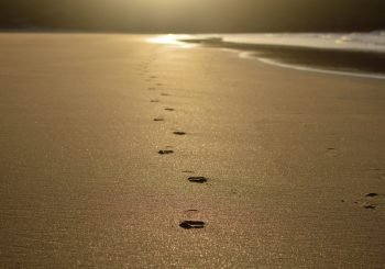 footprints in the sand
