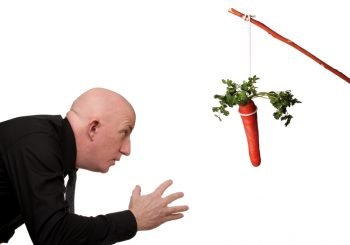 Man chasing Carrot