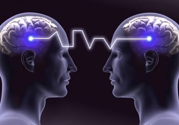 mind melds
