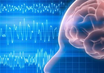 brainwaves