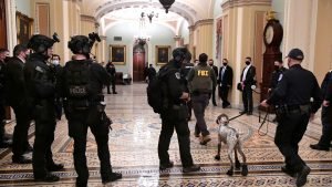 shame on Capital Hill