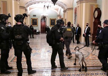 shame on Capital Hill