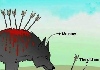 Life gets harder